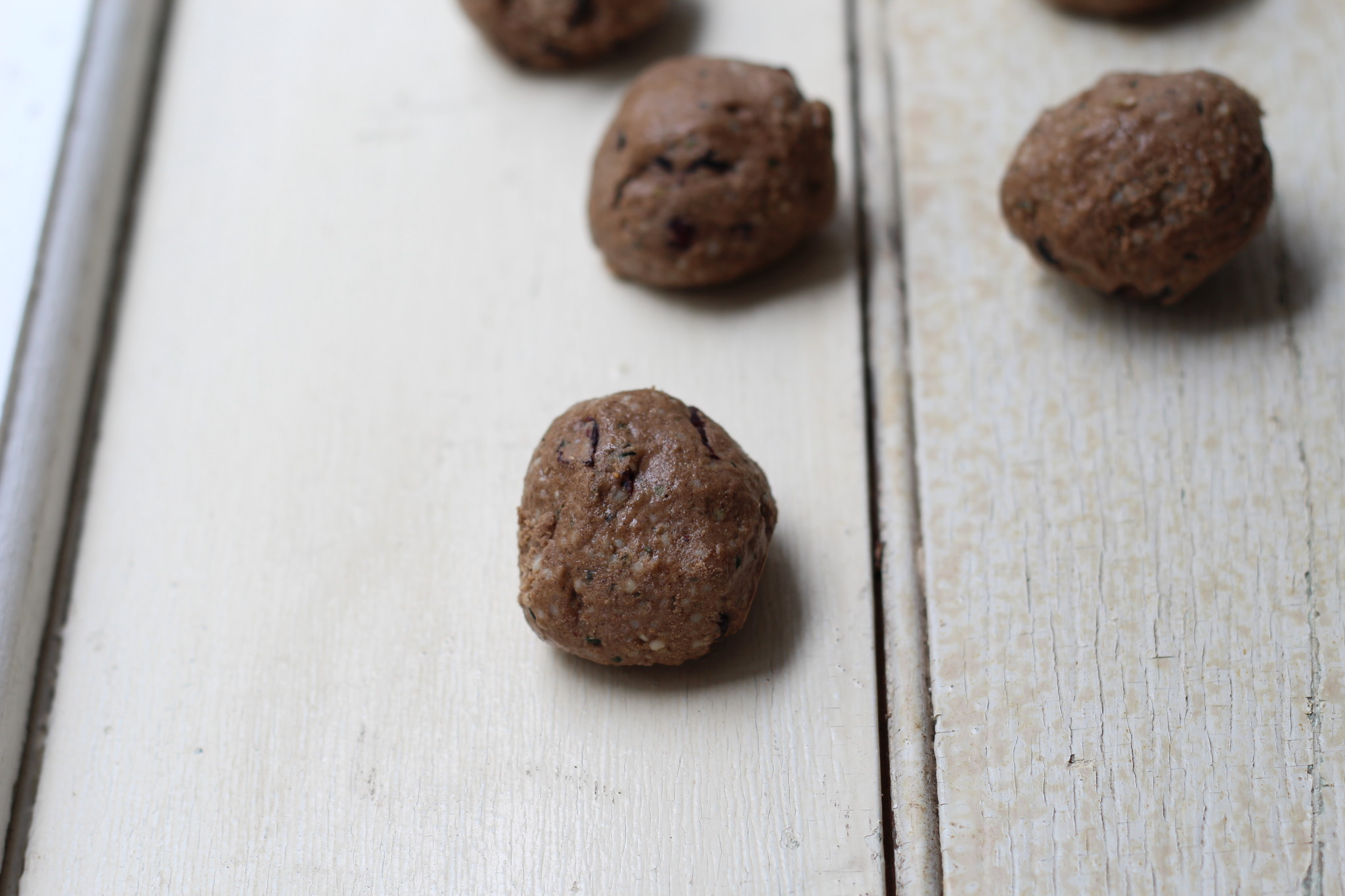 Choc Cranberry Protein Bombs (vegan, primal, clean eating, gluten free, dairy free)