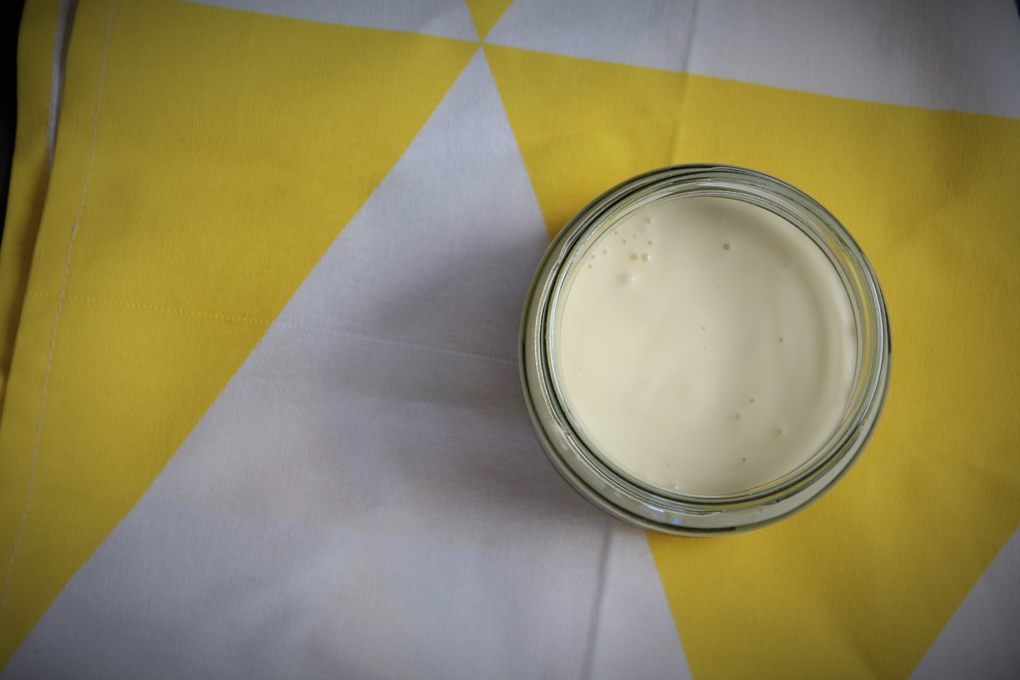 Fermented Probiotic Mayo (paleo. vegetarian)