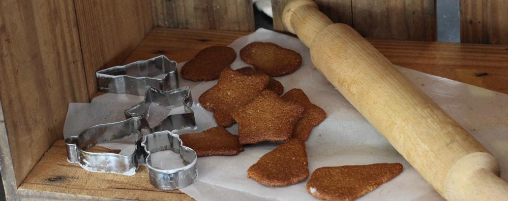 christmas-gingerbread-vegan-paleo