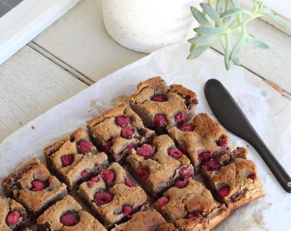 Raspberry Choc Chip Blondies (vegan. grain free)