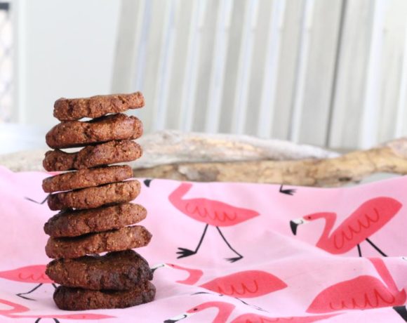 Peanut Butter Chocolate Cookie (vegan. paleo)