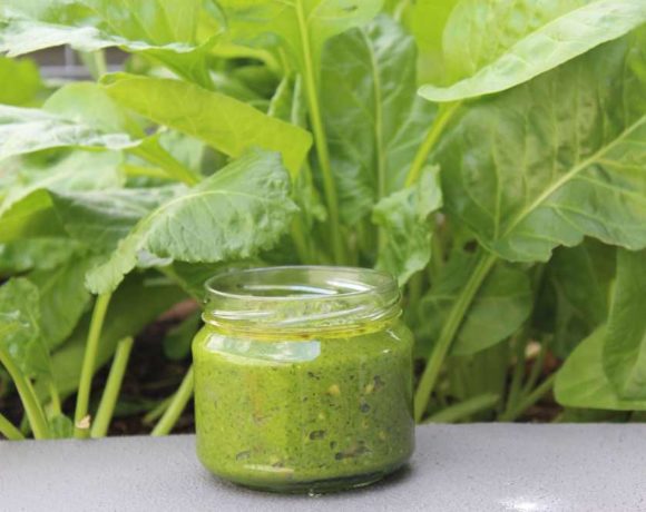 Fennel Pesto (vegan. paleo. keto. nut free)