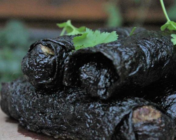 Nori Spring Rolls (paleo. keto. low carb)