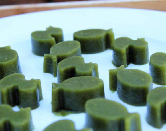 Super Green Gummies (paleo. gut health)